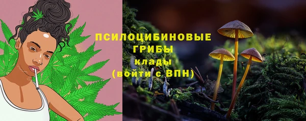 jwh Ельня