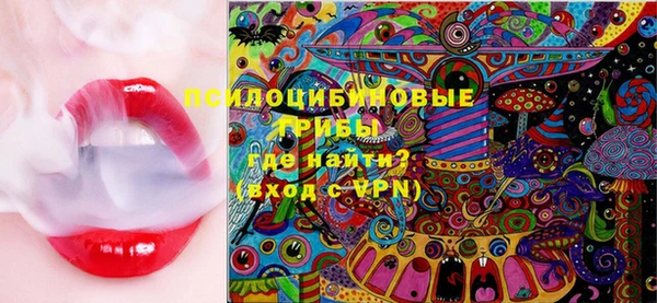 jwh Ельня